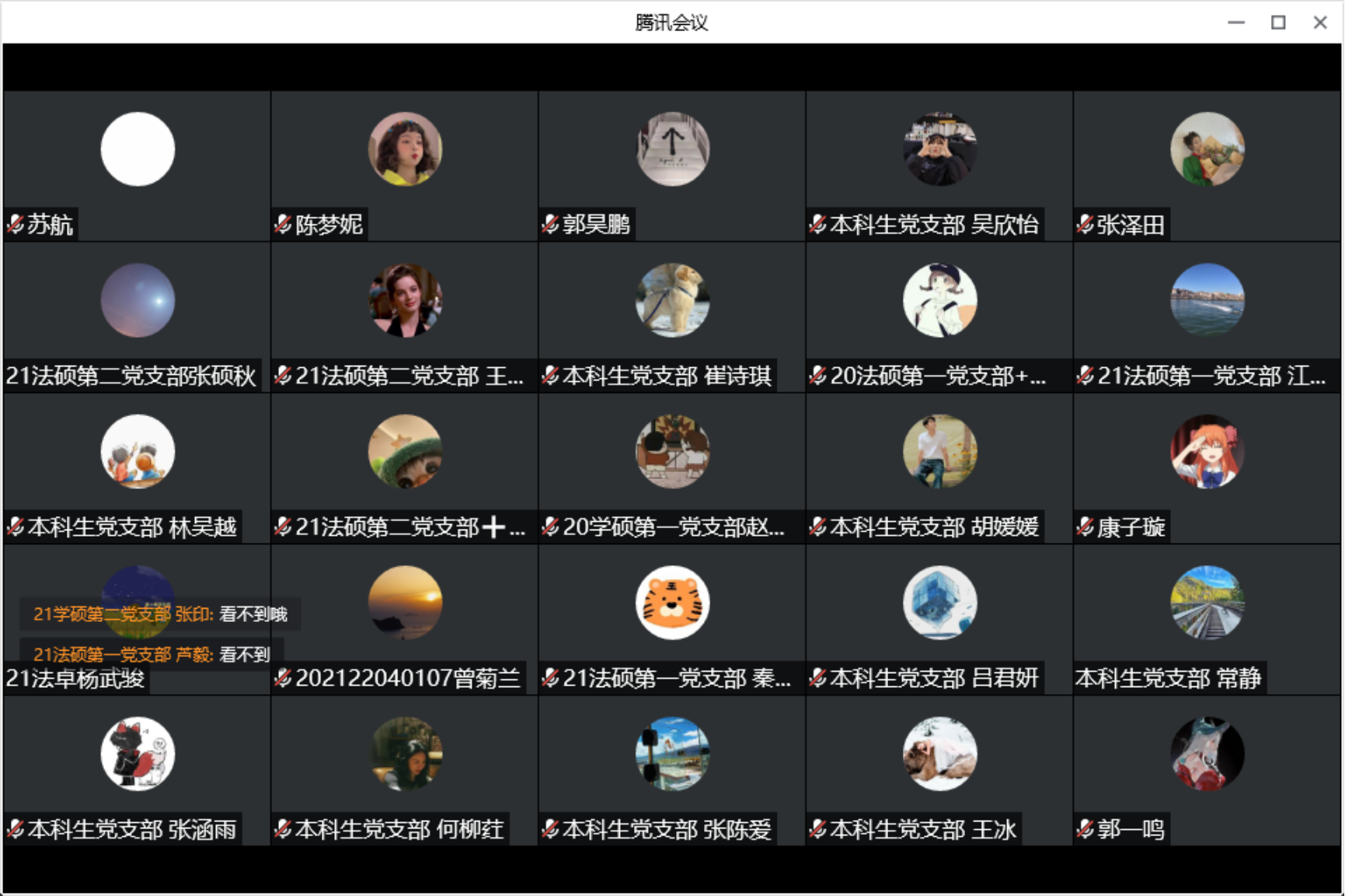 百家乐真人