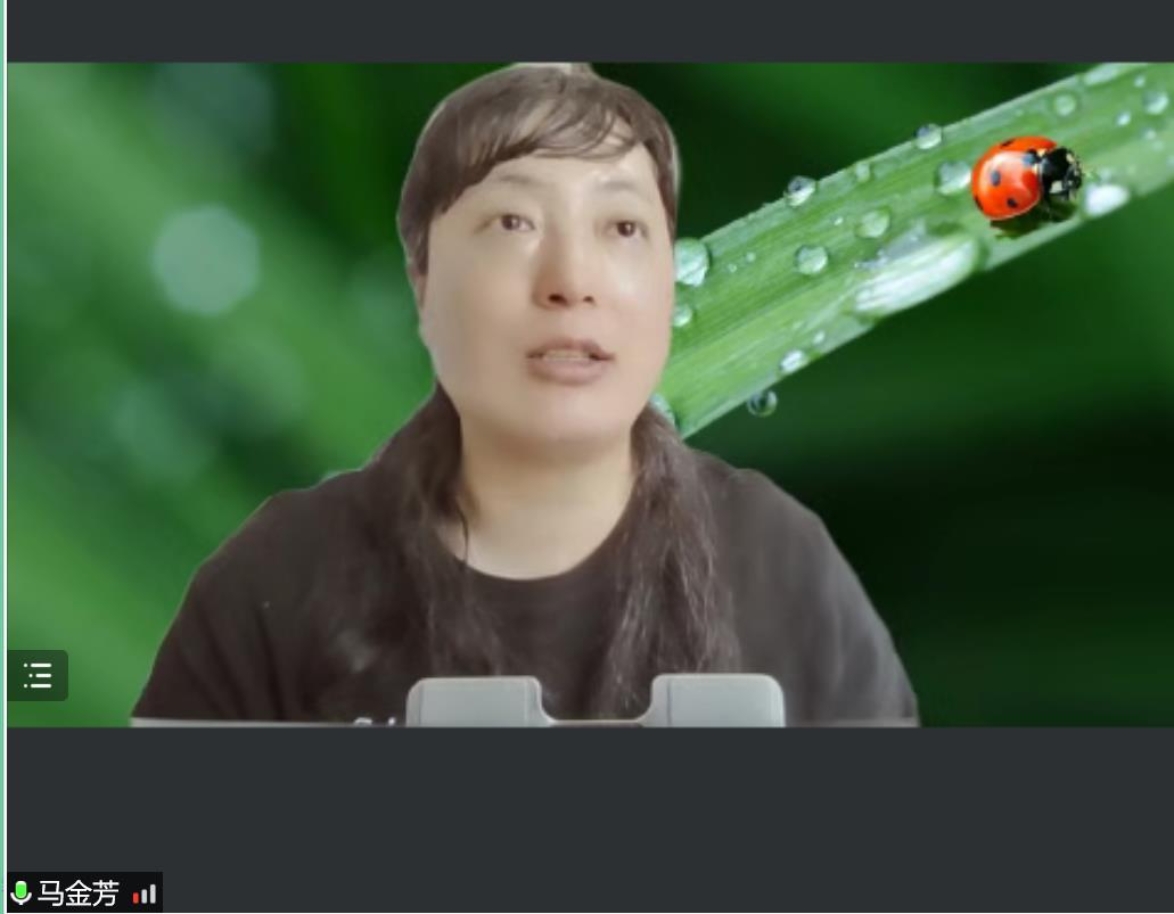 百家乐真人