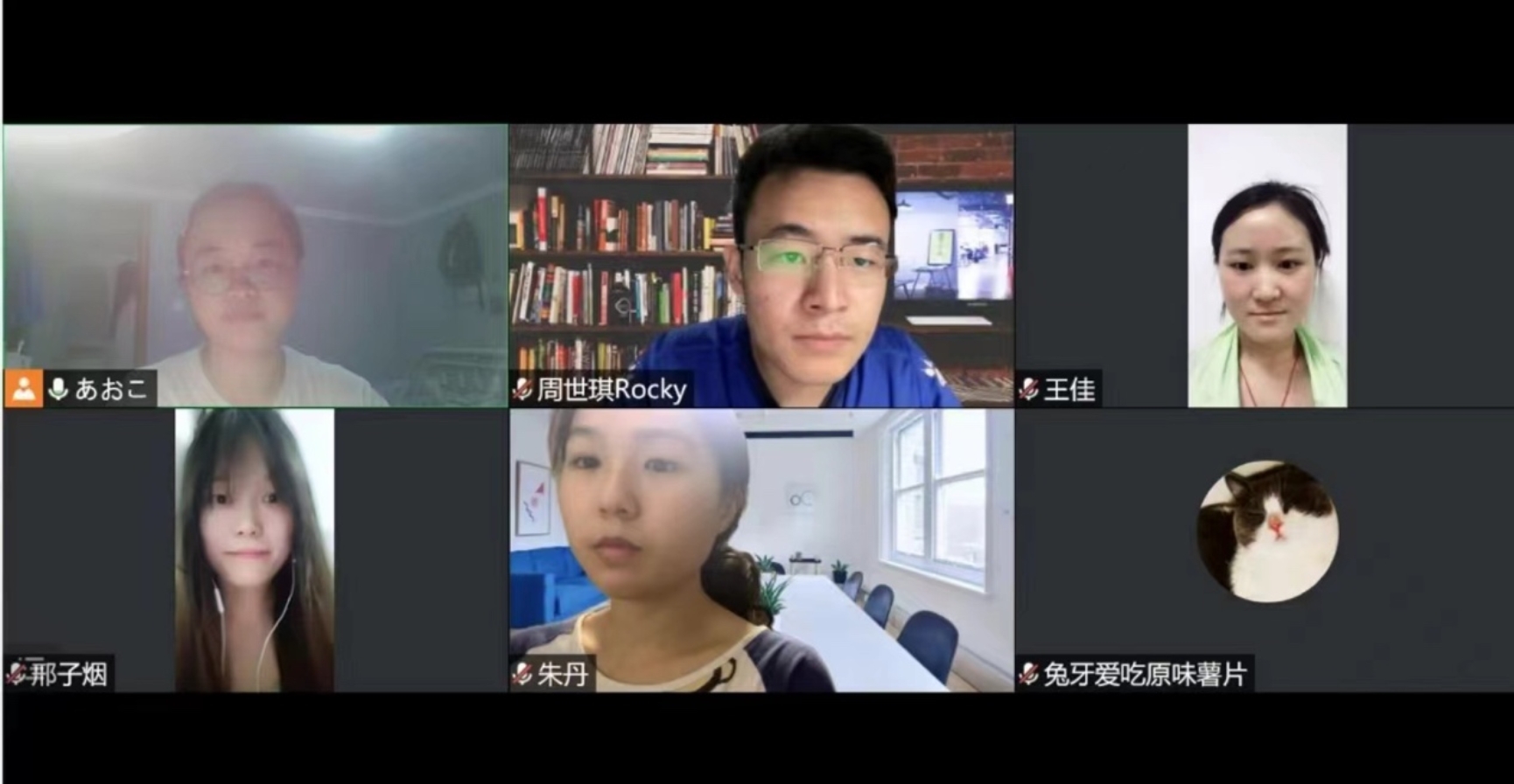 百家乐真人