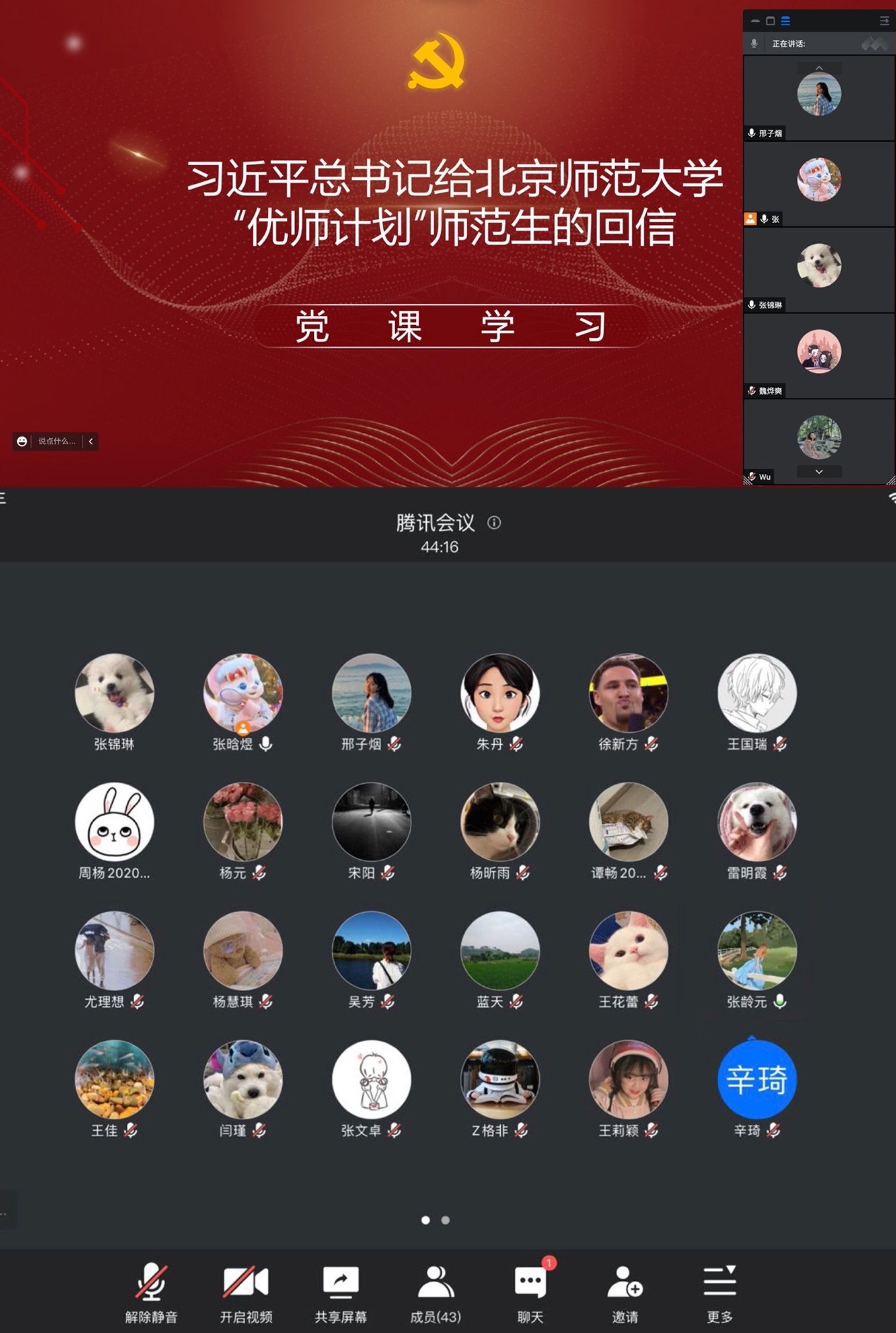 百家乐真人